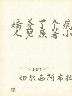 娇养了个疯批美人儿原著小说封面