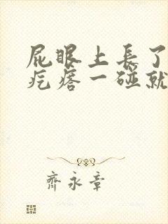 屁眼上长了个硬疙瘩一碰就疼封面