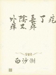 外阴长了疙瘩又痒又疼封面