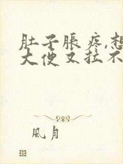 肚子胀疼,想拉大便又拉不出来是什么原因