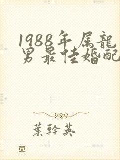 1988年属龙男最佳婚配属相