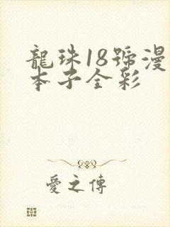 龙珠18号漫画本子全彩封面