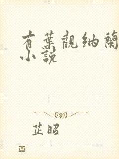 有叶观纳兰迦的小说封面