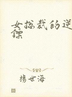 女总裁的逆天保镖