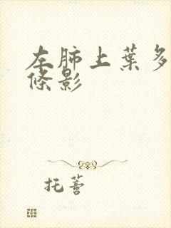 左肺上叶多发索条影封面