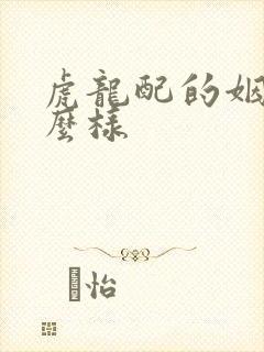 虎龙配的姻缘怎么样