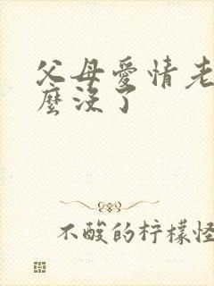 父母爱情老丁怎么没了