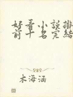 好看小说排行榜前十名完结封面