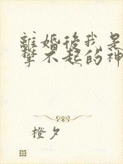 离婚后我是你高攀不起的神