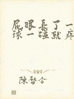 屁眼长了一个肉球一碰就疼封面