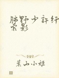 肺野少许纤维条索影封面