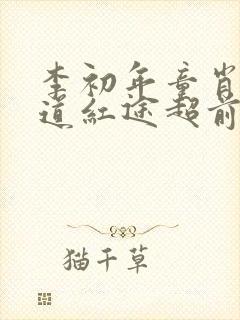 李初年童肖媛正道红途超前更新