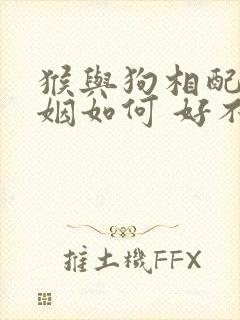 猴与狗相配的婚姻如何 好不好呢封面