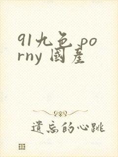 91九色 porny 国产
