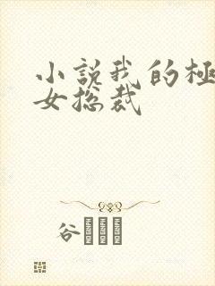 小说我的极品美女总裁