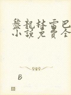 盘龙林雷巴鲁克小说免费全本阅读封面