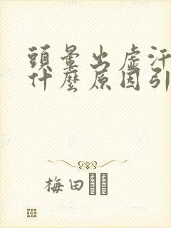 头晕出虚汗无力什么原因引起的