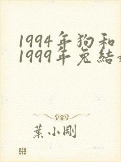 1994年狗和1999年兔结婚相配吗