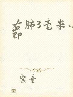 右肺3毫米小结节封面