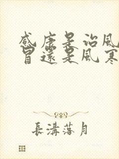 感康是治风热感冒还是风寒感冒