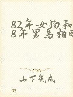 82年女狗和78年男马相配婚姻如何