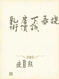 乳房下垂提升手术价钱