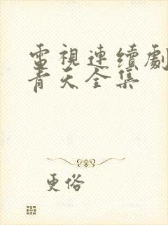 电视连续剧新包青天全集