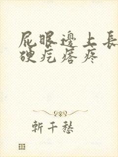 屁眼边上长一个硬疙瘩疼