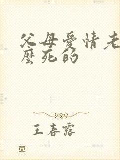 父母爱情老丁怎么死的