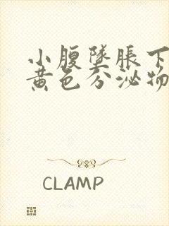 小腹坠胀下体有黄色分泌物