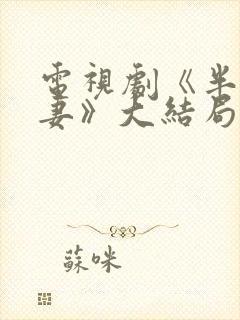 电视剧《半路夫妻》大结局封面