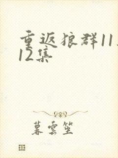 重返狼群11集12集封面