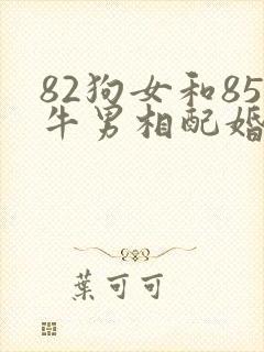 82狗女和85牛男相配婚姻如何