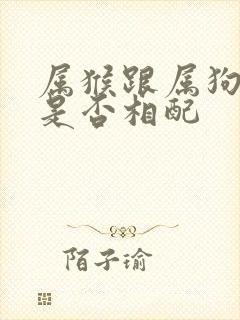 属猴跟属狗婚姻是否相配封面