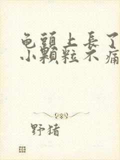 龟头上长了一圈小颗粒不痛不痒