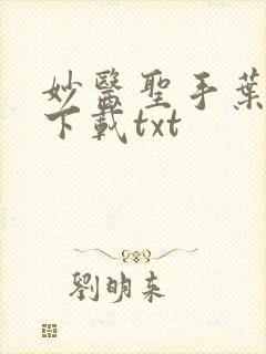 妙医圣手叶皓轩下载txt