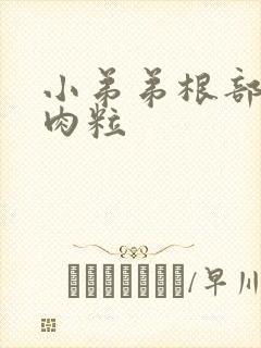 小弟弟根部 小肉粒