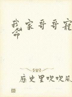 我家哥哥宠妹如命