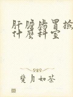 肝胆肠胃检查挂什么科室