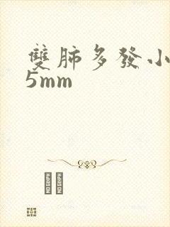 双肺多发小结节5mm