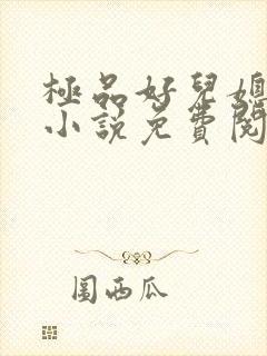 极品好儿媳老秦小说免费阅读封面