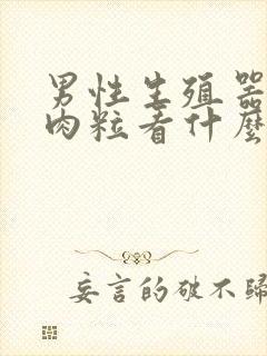 男性生殖器起小肉粒看什么科