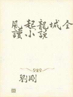 风起龙城全文阅读小说