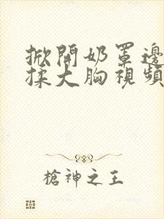 掀开奶罩边躁边揉大胸视频