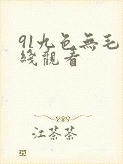 91九色无毛在线观看封面