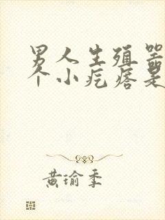 男人生殖器上有个小疙瘩是怎么回事