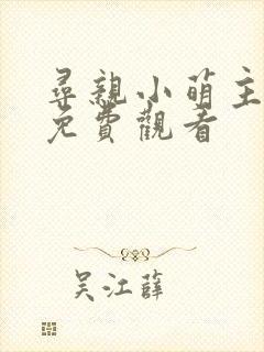 寻亲小萌主短剧免费观看