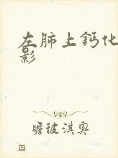 左肺上钙化结节影