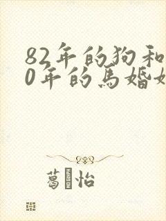 82年的狗和90年的马婚姻相配吗