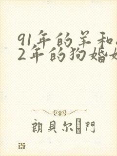 91年的羊和82年的狗婚姻怎么样